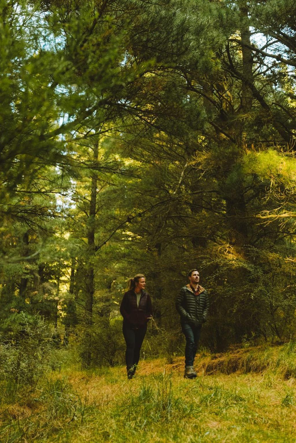 Mount Hutt Montrose Estateヴィラ エクステリア 写真
